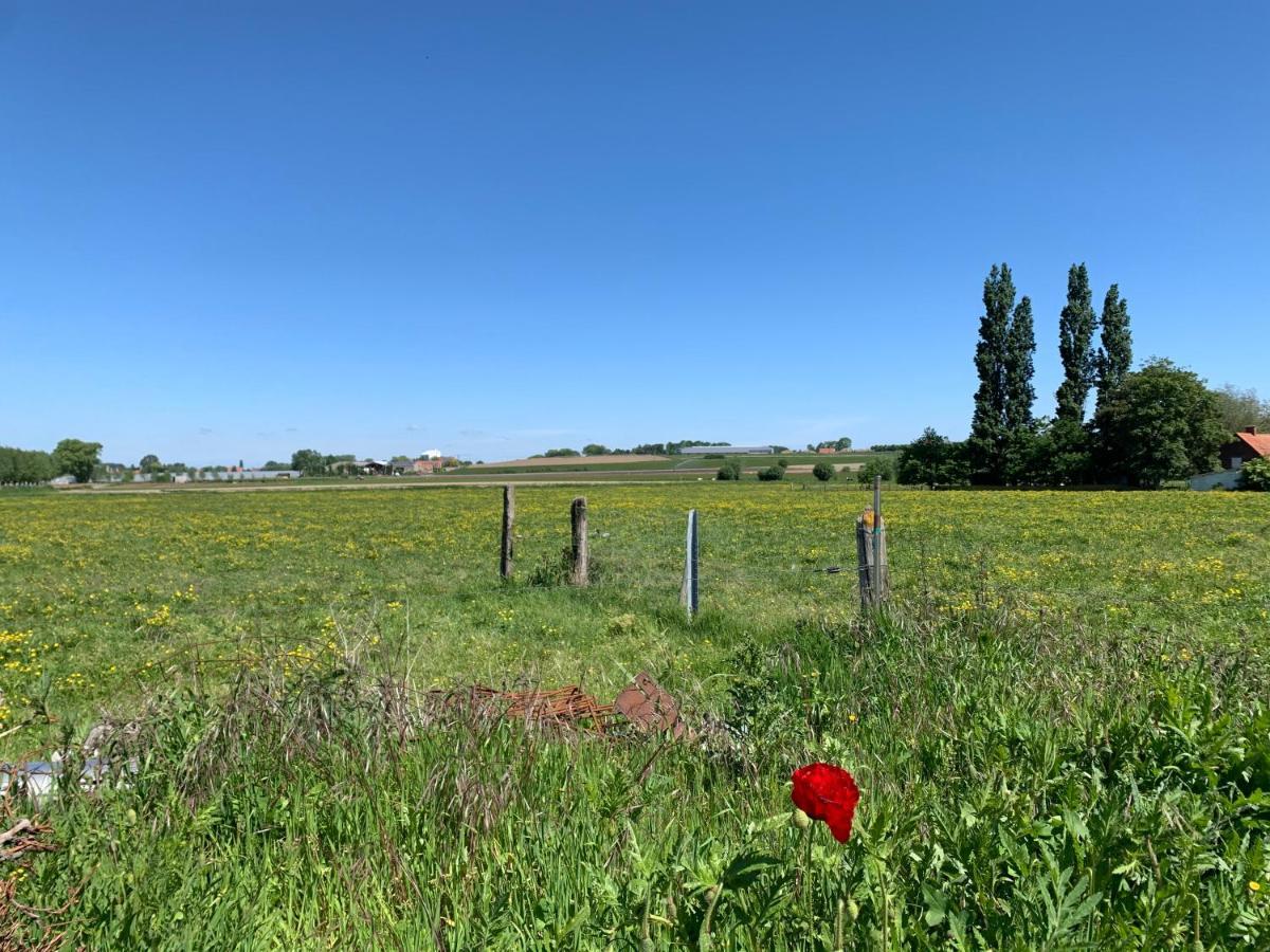 Koekeloeren Villa Hooglede Luaran gambar